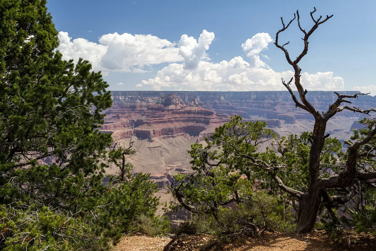 View into the Grand Canyon from the South Rim near Tusayan